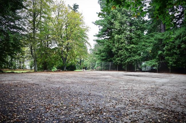 Pickleball court plans for Lincoln Park abandoned by Seattle Parks